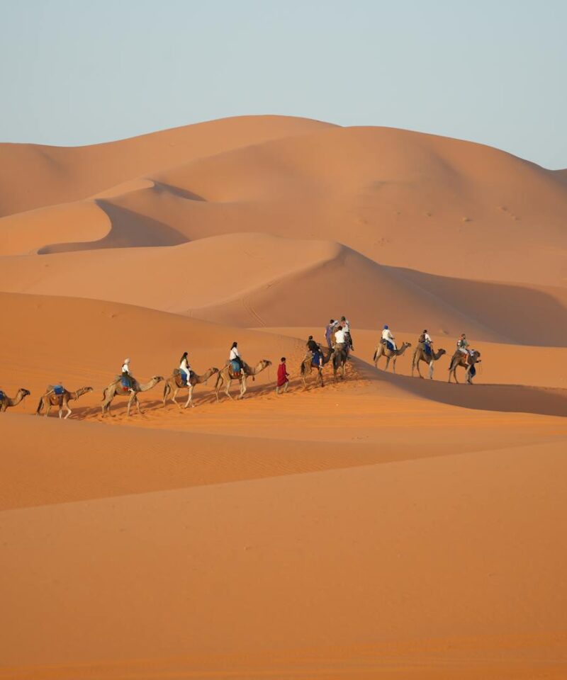 7 days tour from Agadir to Chegaga desert