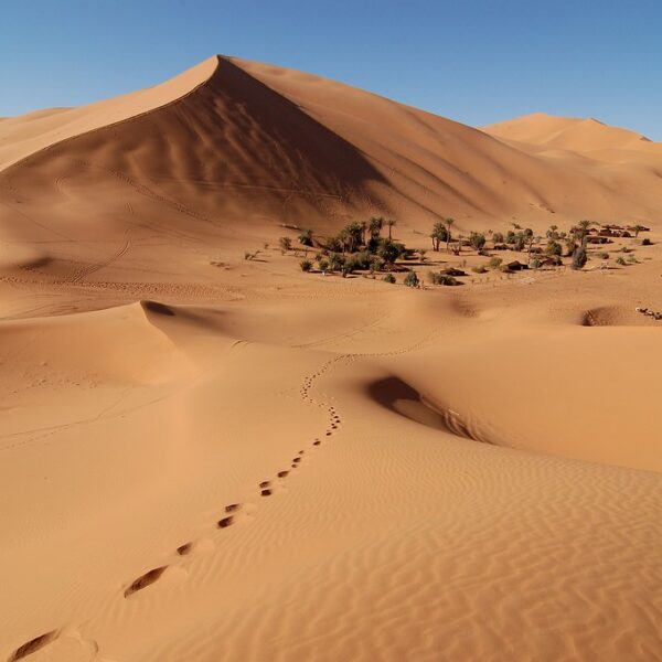 3 days tour from Agadir to Chegaga desert