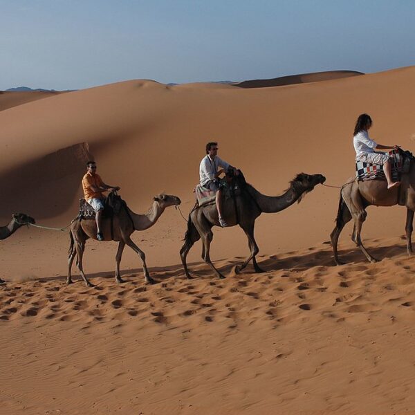 8 days tour from Casablanca to desert