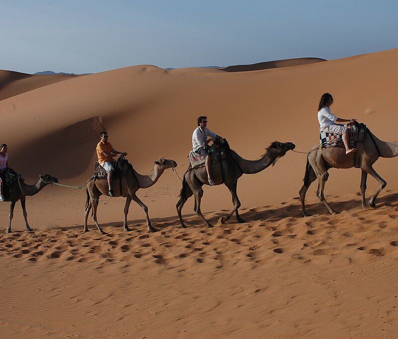 8 days tour from Casablanca to desert