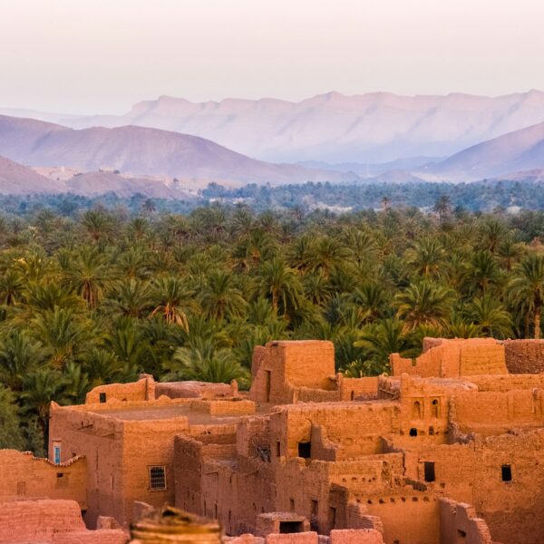 14 days tour through Morocco from Tangier