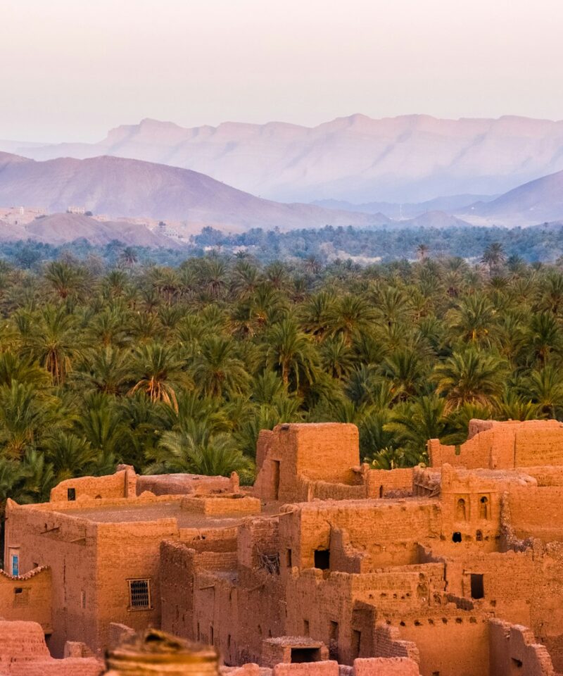 14 days tour through Morocco from Tangier