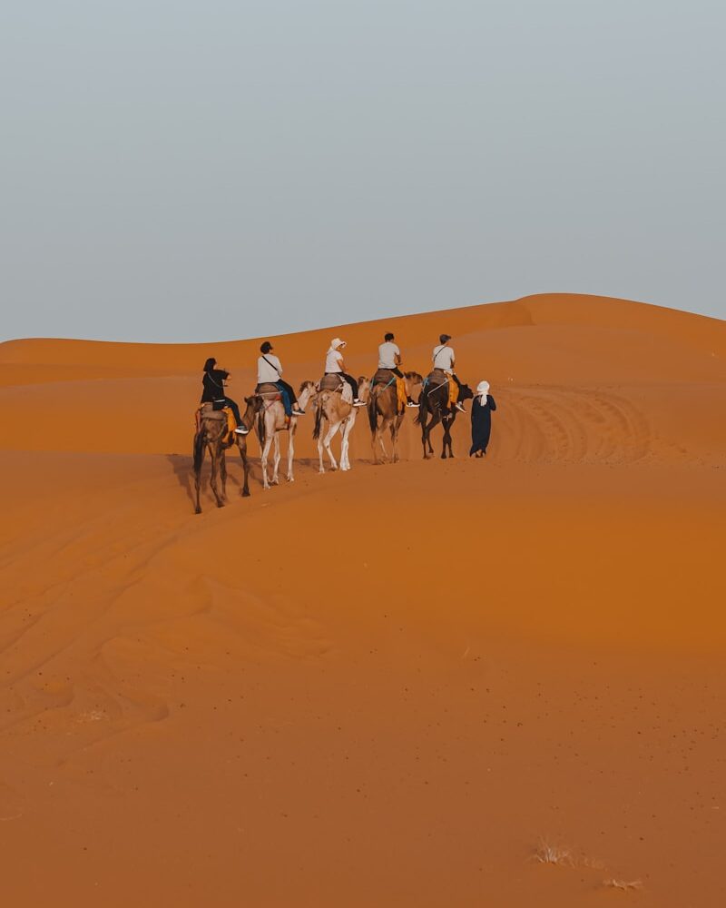 a group of people riding on the backs of horses in the desert