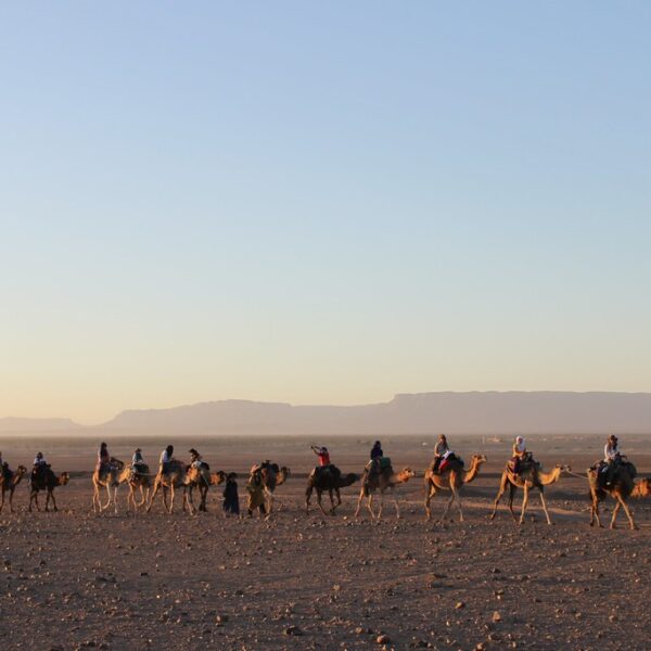 3 days Tour from Ouarzazate to Zagora Desert