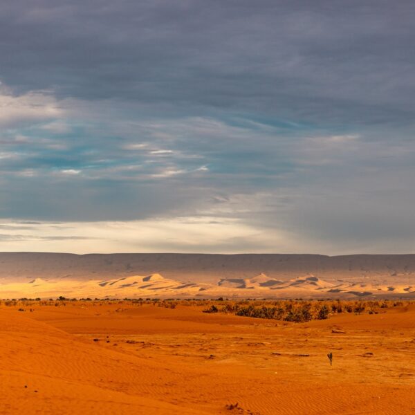 5 days Tour from Ouarzazate to Chegaga Desert